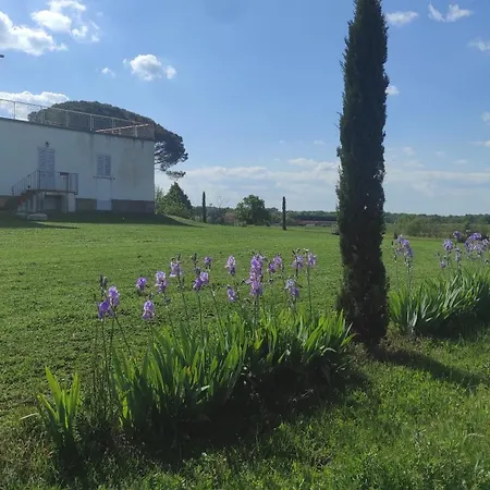 Alojamento de Turismo Rural Borgo Iris - Wine Farm Near Cortona Petraia