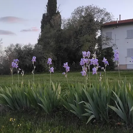 Borgo Iris - Wine Farm Near Cortona Petraia