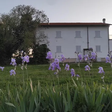 Alojamento de Turismo Rural Borgo Iris - Wine Farm Near Cortona Petraia