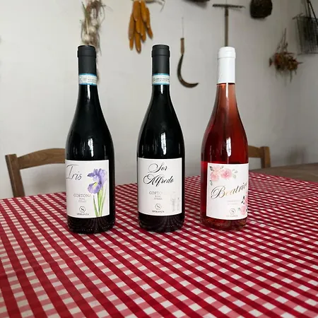 Borgo Iris - Wine Farm Near Cortona Alojamento de Turismo Rural Petraia