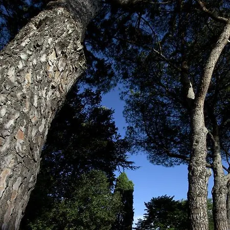 Borgo Iris Agroturismo Pietraia