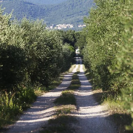 Borgo Iris - Wine Farm Near Cortona Alojamento de Turismo Rural Petraia