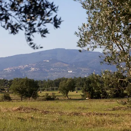 Borgo Iris - Wine Farm Near Cortona *