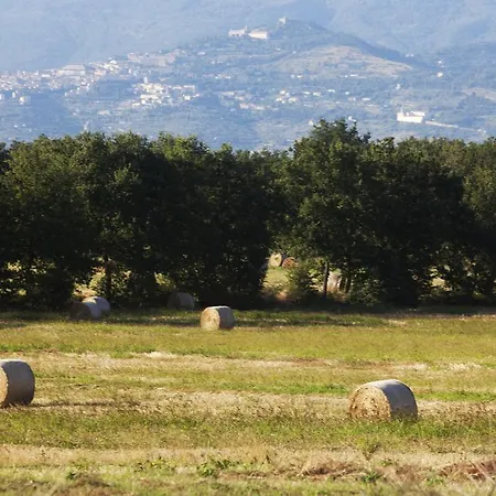 Alojamento de Turismo Rural Borgo Iris - Wine Farm Near Cortona Petraia