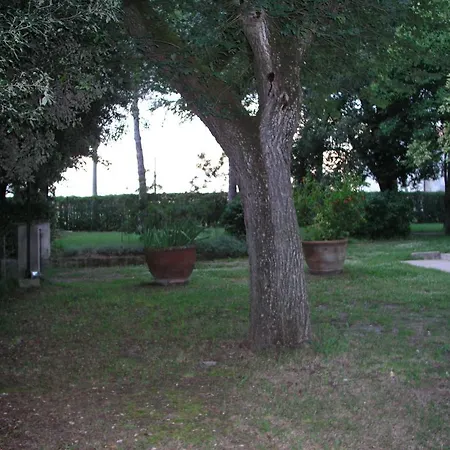 Borgo Iris - Wine Farm Near Cortona *
