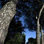 Borgo Iris Vakantieboerderij Pietraia