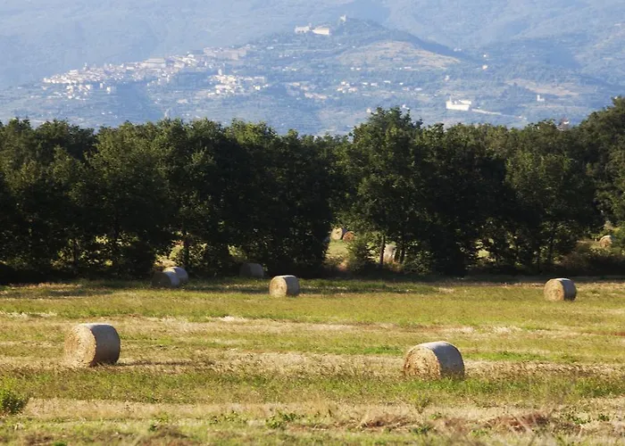 בית חווה Borgo Iris Pietraia